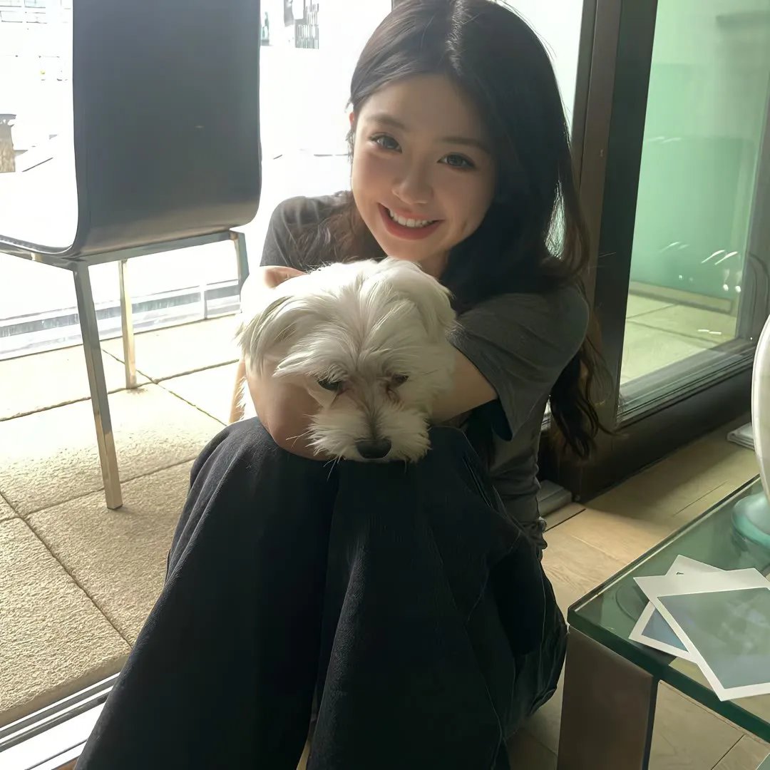亲爱的设计师